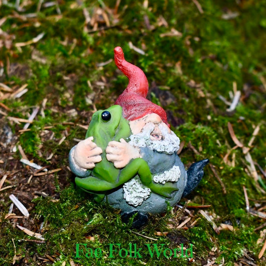 Mini Garden Gnome Hugging Frog