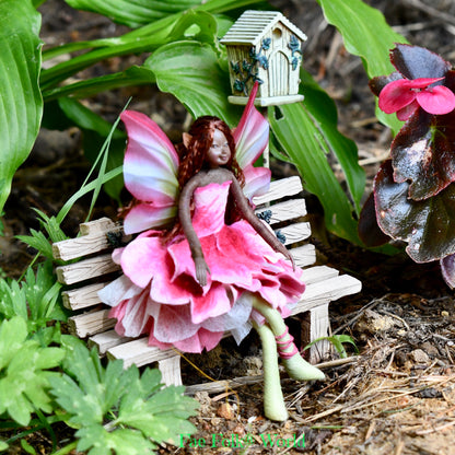 Fae Folk® Fairies - ANEMONE